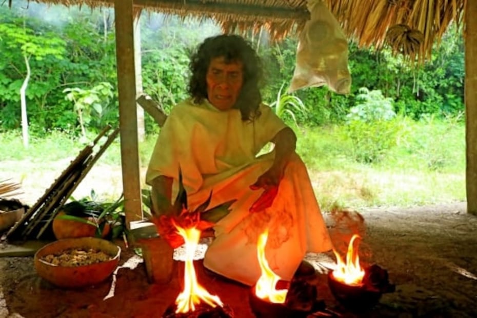 Chiapas: qué hacer en la selva Lacandona