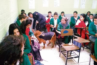 Edomex: hallan pistolas de aire y gas lacrimógeno