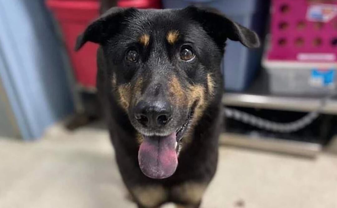 Oscar, con dos de las cuidadoras que estuvieron con él en su paso por el refugio. Foto: EL TIEMPO