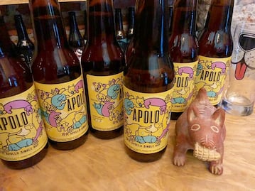 La cerveza mexicana al rescate de los perros abandonados