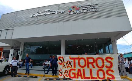 Chocan por aprobación de corridas de toros y peleas de gallos en Q Roo
