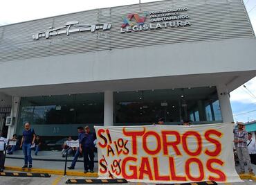 Chocan por aprobación de corridas de toros y peleas de gallos en Q Roo