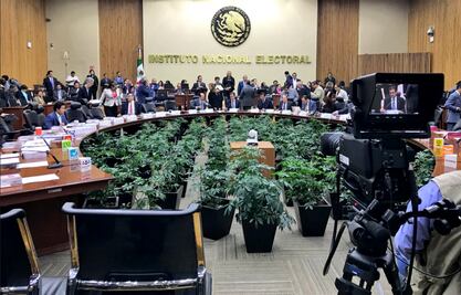 Alista INE sanción de 10.7 mdp al Partido Verde por vuelos falsos