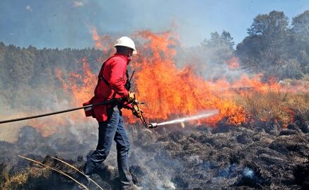 Wildfires raging in central and southern Mexico