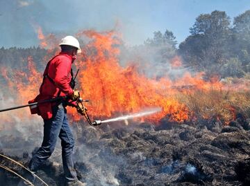 Wildfires raging in central and southern Mexico