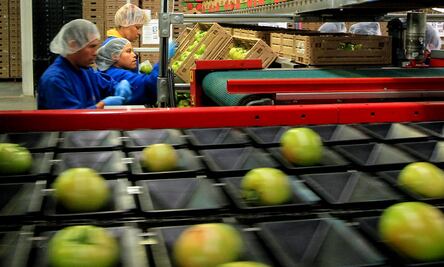 Reclama México a EU violaciones a derechos laborales de trabajadores mexicanos