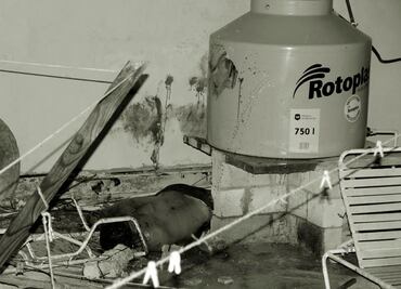 Abren queja contra edil de Cancún en caso #LordNaziRuso