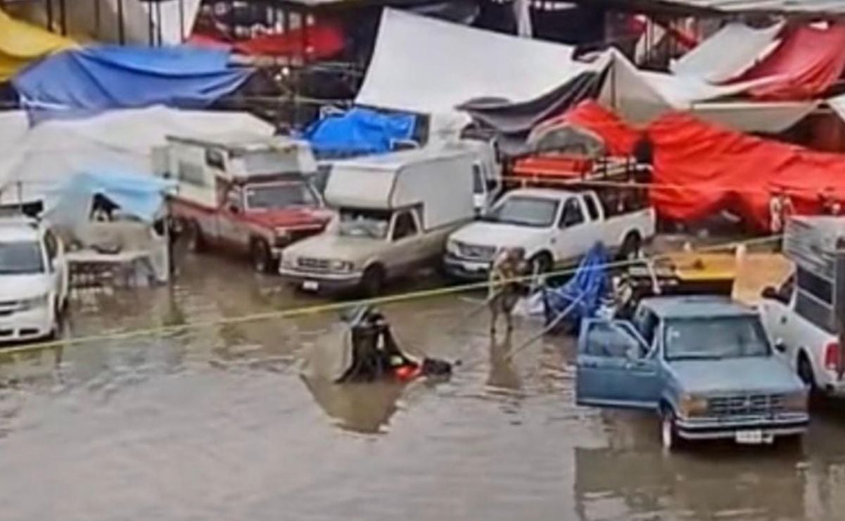 Una tormenta en Tepeji del Río, Hidalgo, causó caída de árbo