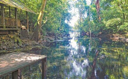 Clausuran tres predios forestales en reserva de la Biosfera de Los Tuxtlas de Veracruz