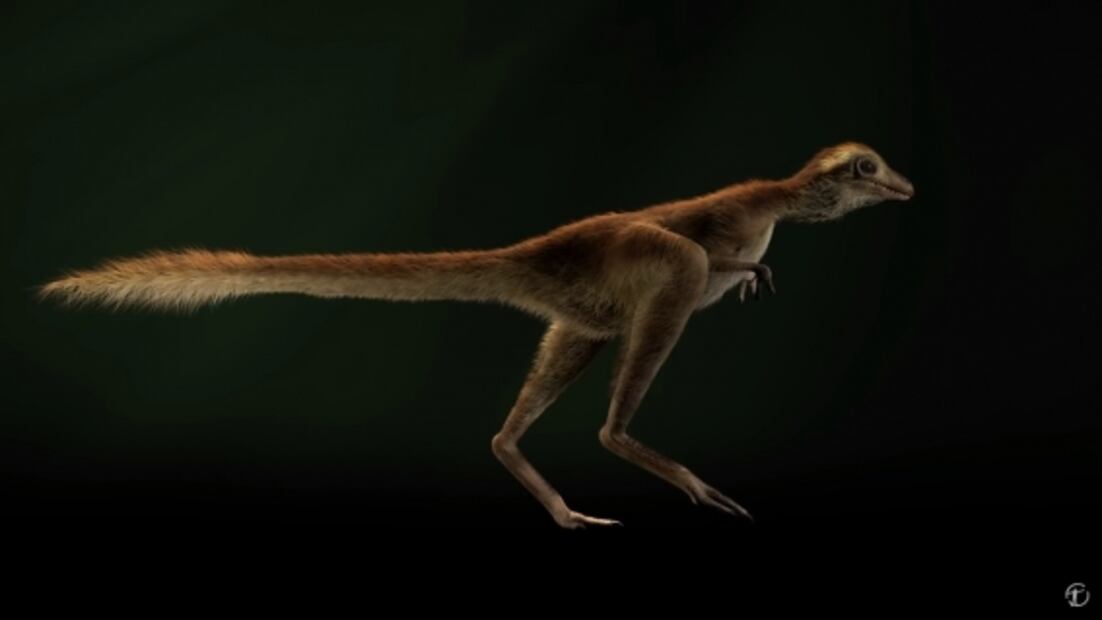 Así imaginan a los Tiranosaurios Rex de bebés
