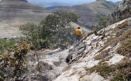 Brigadas forestales apagan incendio en “Cerro del Diente” en Tamaulipas