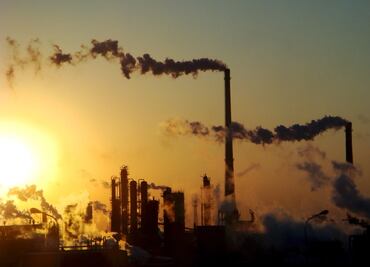 Para descarbonizar a la industria química, microbios producirán petróleo natural