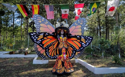 Michoacán se prepara para seis grandes eventos culturales; desde cine hasta el arribo de las mariposas monarca