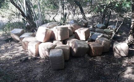 Aseguran 235 kilos de marihuana en el margen del Río Bravo en Tamaulipas