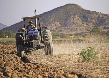 Acusan protagonismo político y burocracia en Segalmex y Sader para entrega de fertilizantes