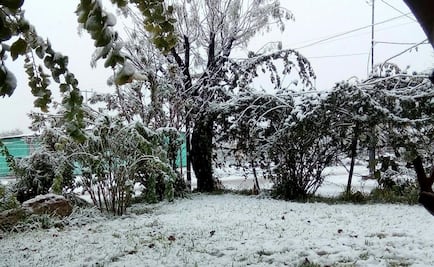 Colapsan tuberías en Coahuila debido a temperaturas de -16 grados