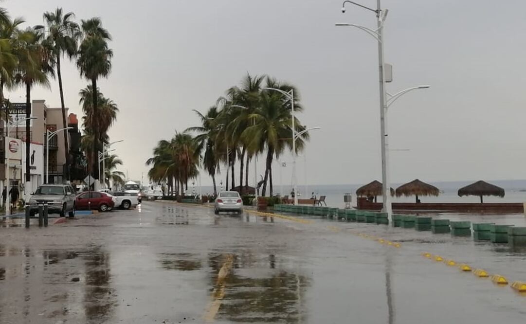 Foto: Estados / EL UNIVERSAL