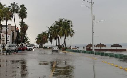 Suspenden actividades en puertos de Mazatlán y Topolobampo por paso de "Olaf"
