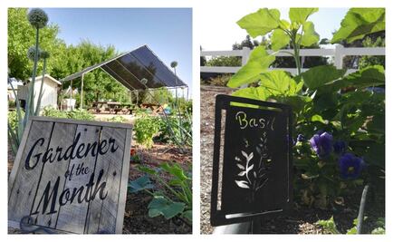 Recreación de campo