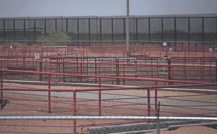 Piden que Ejército pare el trasiego ilegal de ganado