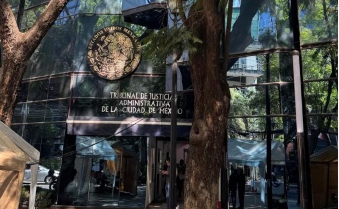Tribunal de Justicia Administrativa no tiene denuncias contra Alessandra Rojo de la Vega, indica su presidente.
Foto: Especial.