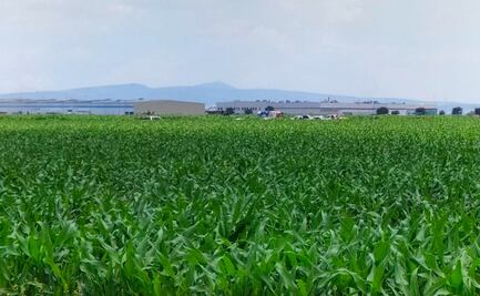 Se desploma aeronave al despegar del Aeropuerto Intercontinental de Querétaro