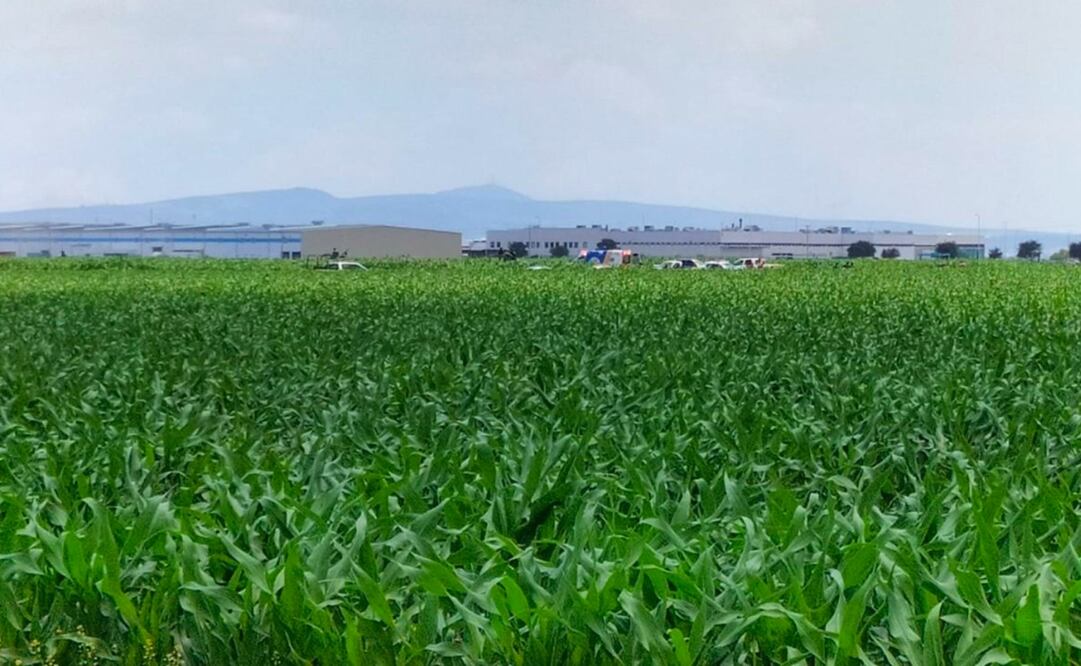 Foto: cortesía Daniel Gómez