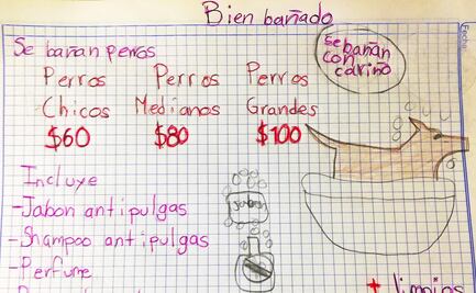 Niño baña perritos en Nuevo León; busca ahorrar para sus estudios de veterinario