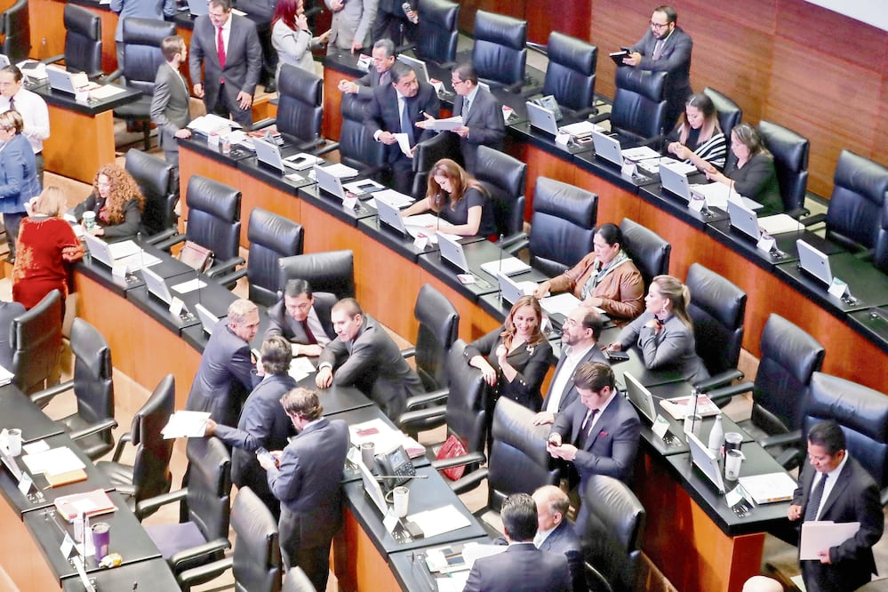 Senado de la República. Foto: Archivo