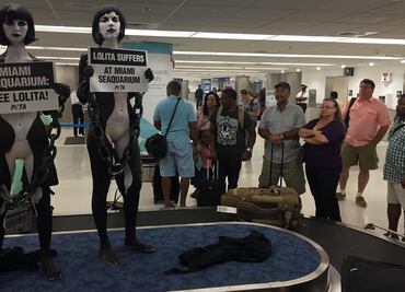 Activistas de PETA protestan en aeropuerto de Miami