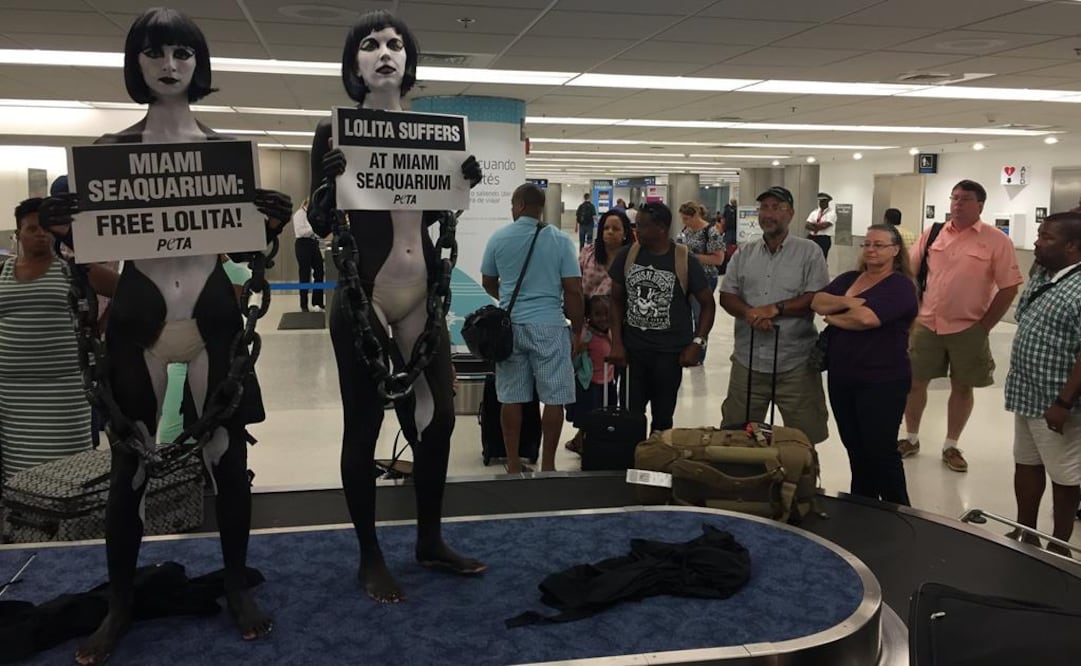 (Foto: Tomada de @peta)