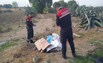 Asesinan a cuatro personas en zona oriente de Edomex; suman 10 en las últimas horas