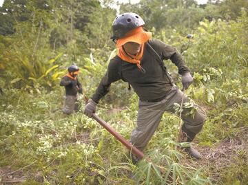 Cártel de Sinaloa y CJNG se disputan Guatemala y Perú