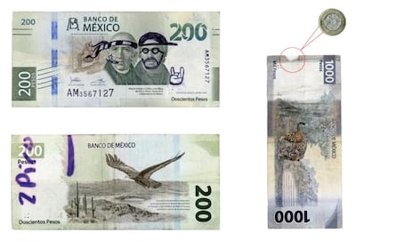 Comercios rechazan billetes dañados: Banco de México aclara cuáles siguen en circulación