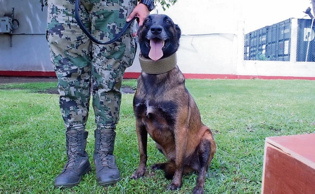 Hacen equipo para detectar sustancias prohibidas