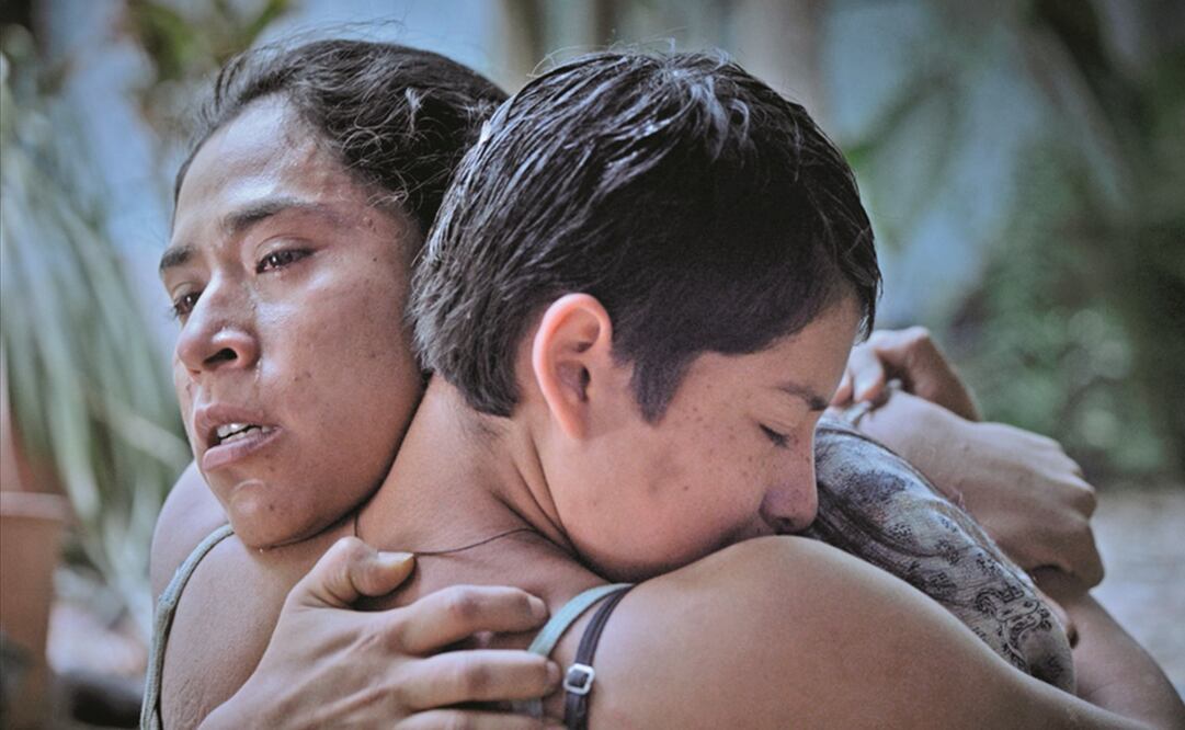 El filme se centra en cómo tres jovencitas buscan esconderse de grupos de narcotraficantes. Foto: Pimienta Films, The Match Factory