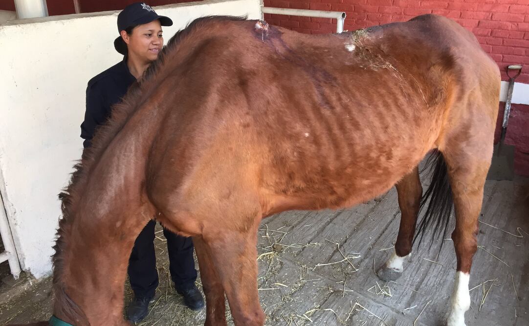 Foto: Rebeca Jiménez / El Universal