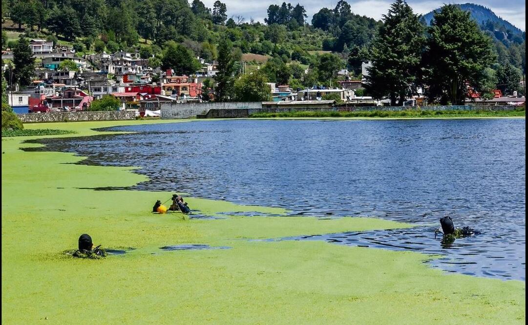 Proyecto agua saludable para La Laguna