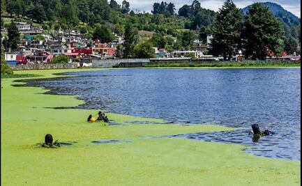 Proyecto agua saludable para La Laguna