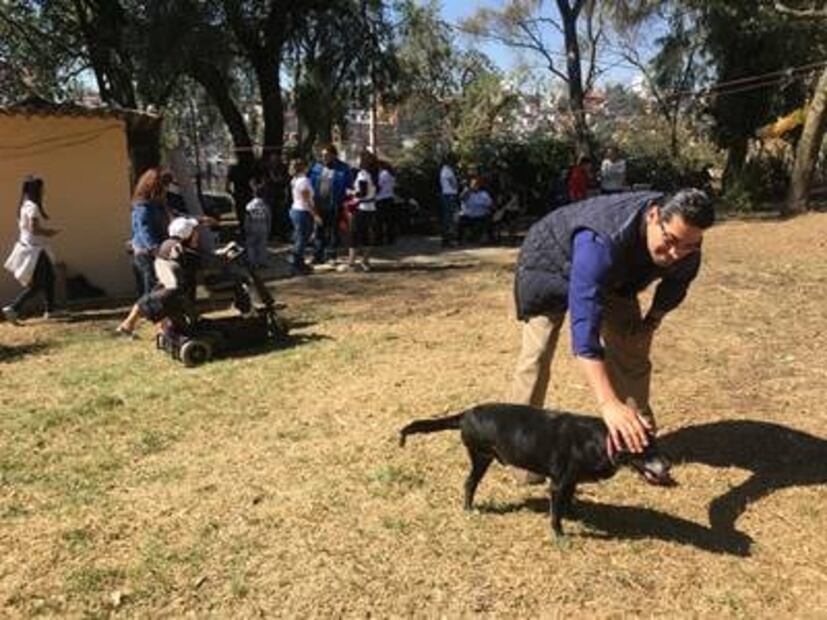 Abrazos que sanan: Jóvenes y mascotas que se rehabilitan juntos