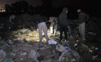 Basurero en Argentina se convierte en isla del tesoro: hallan al menos 75 mil dólares