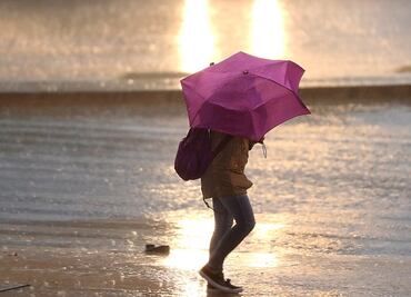 Caída de árboles, de lona y de stand, el saldo por lluvias este sábado en CDMX