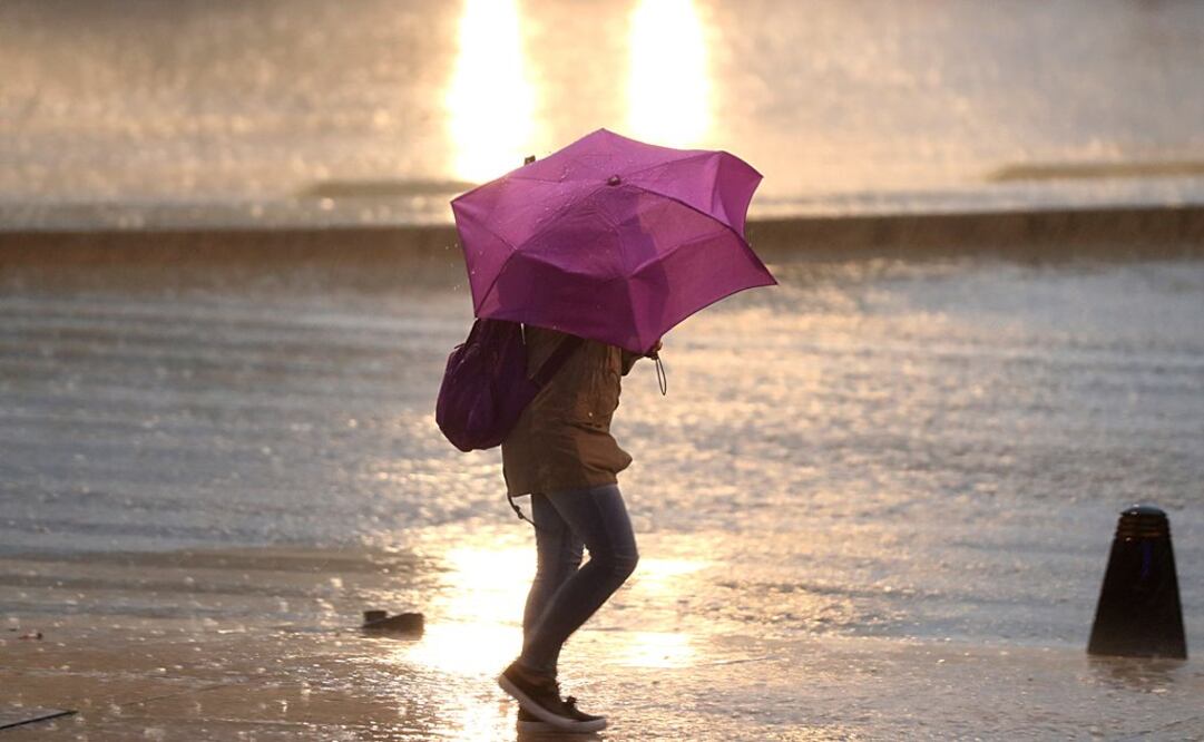 Foto: Archivo /EL UNIVERSAL