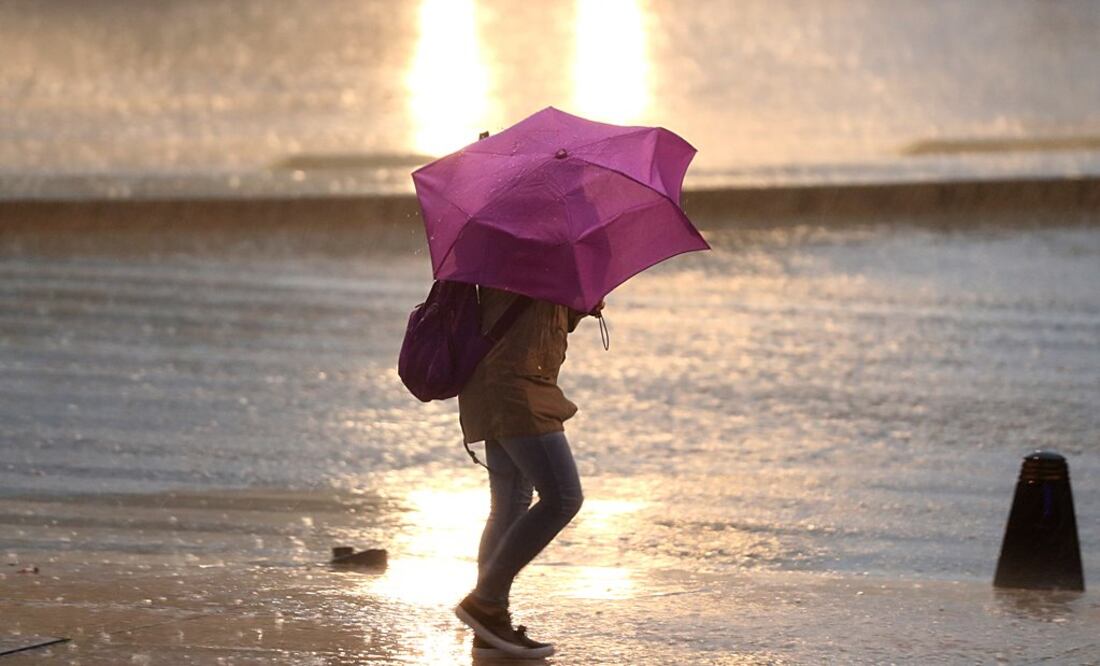 Foto: Archivo /EL UNIVERSAL