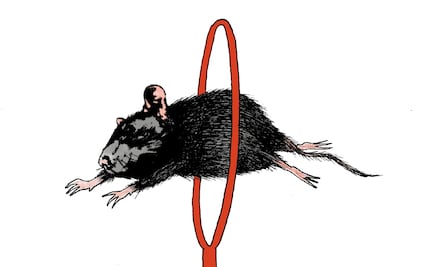 El circo de la política