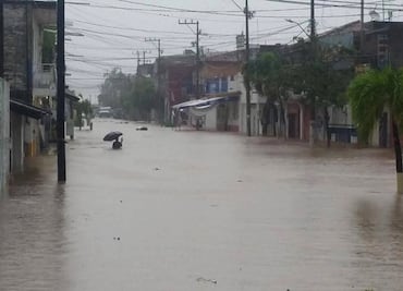 Pérdidas por desastres naturales alcanzarían 13% de PIB: PNUMA