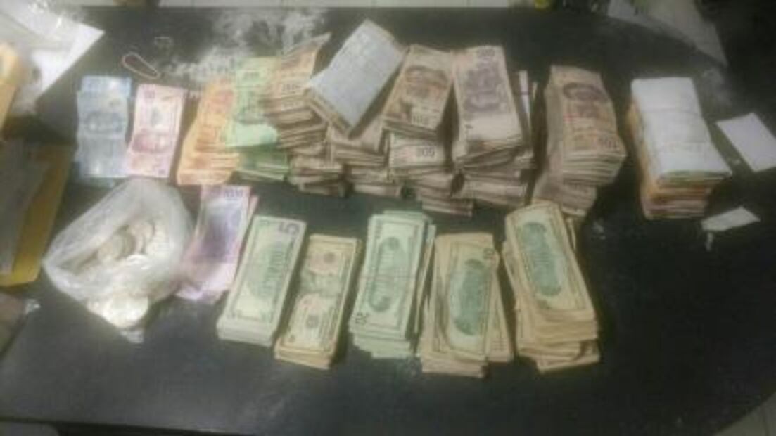 Envían a zoológico animales asegurados en Guanajuato