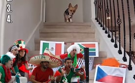 ¿Cómo le irá a México en el Mundial?; la predicción de un perrito que causa furor en redes sociales