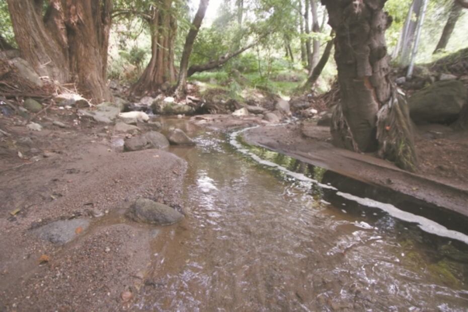 Basura tóxica asfixia a Naucalpan por tiradero