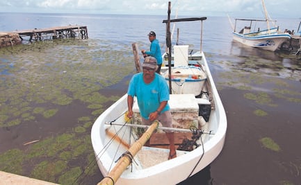 Pescadores foráneos generan conflictos en Yucatán